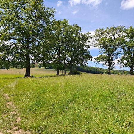 Chambres D'Hotes Sous Les Chenes Gondenans-Montby Exterior foto